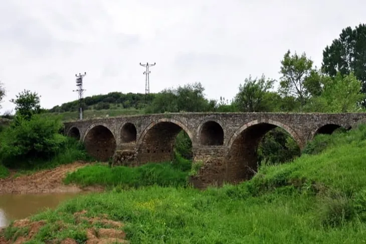 Edirne Mercan’daki mera alanında ‘usulsüz ağaçlandırma’ iddiası!